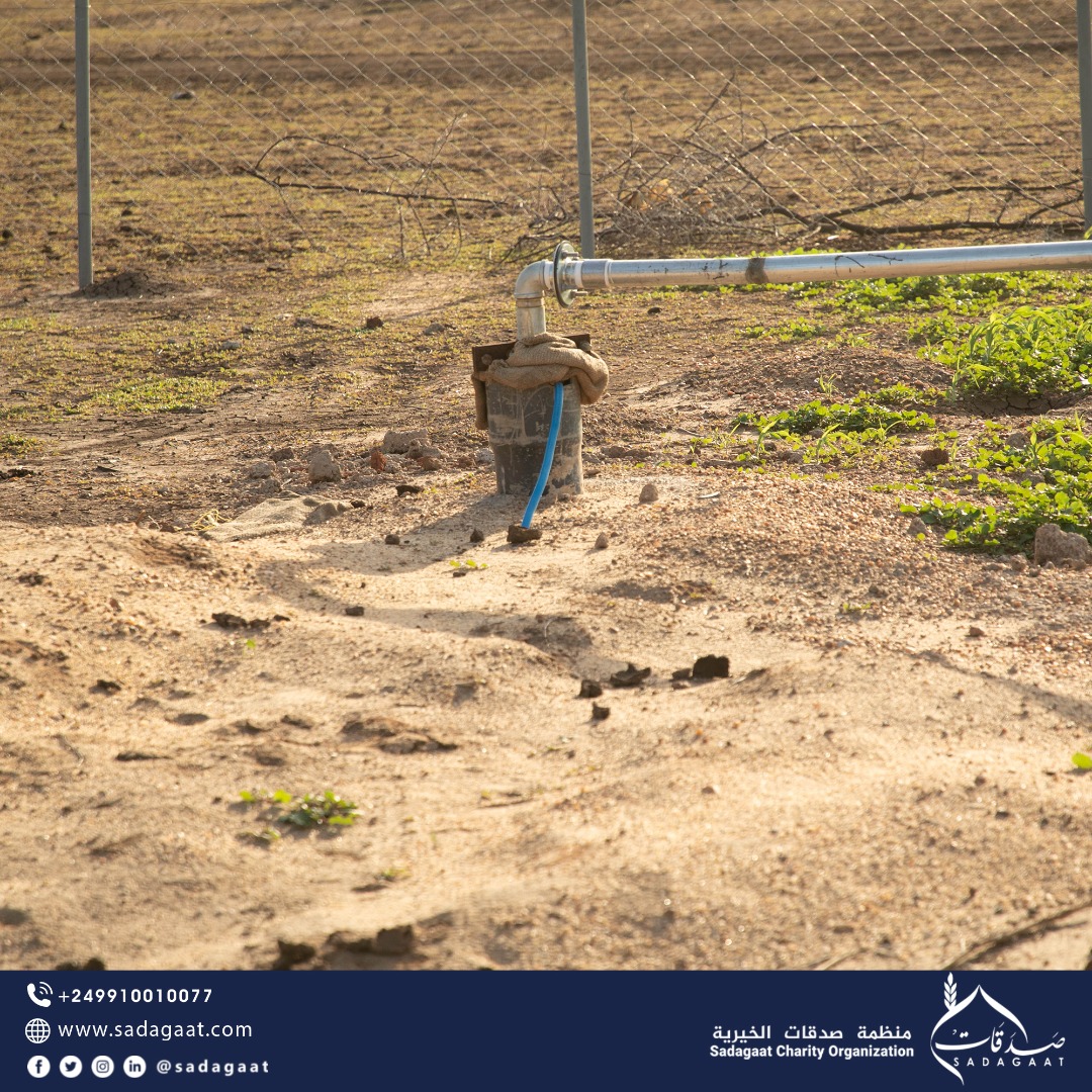 Al- Maamoura Water Station