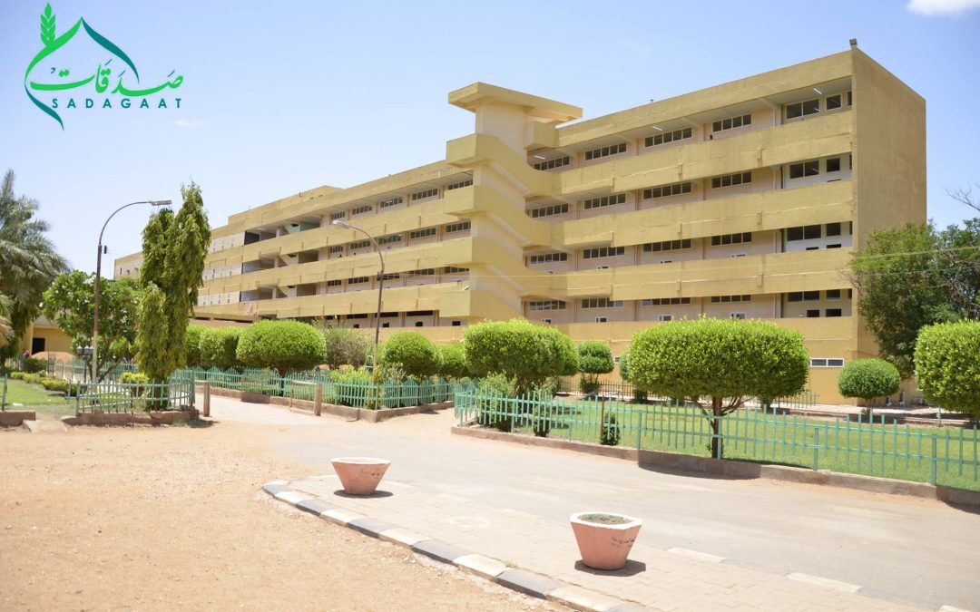 Rehabilitation of the palliative and stroke department of Soba University Hospital 2018