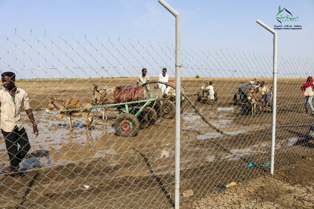 محطة الليونة