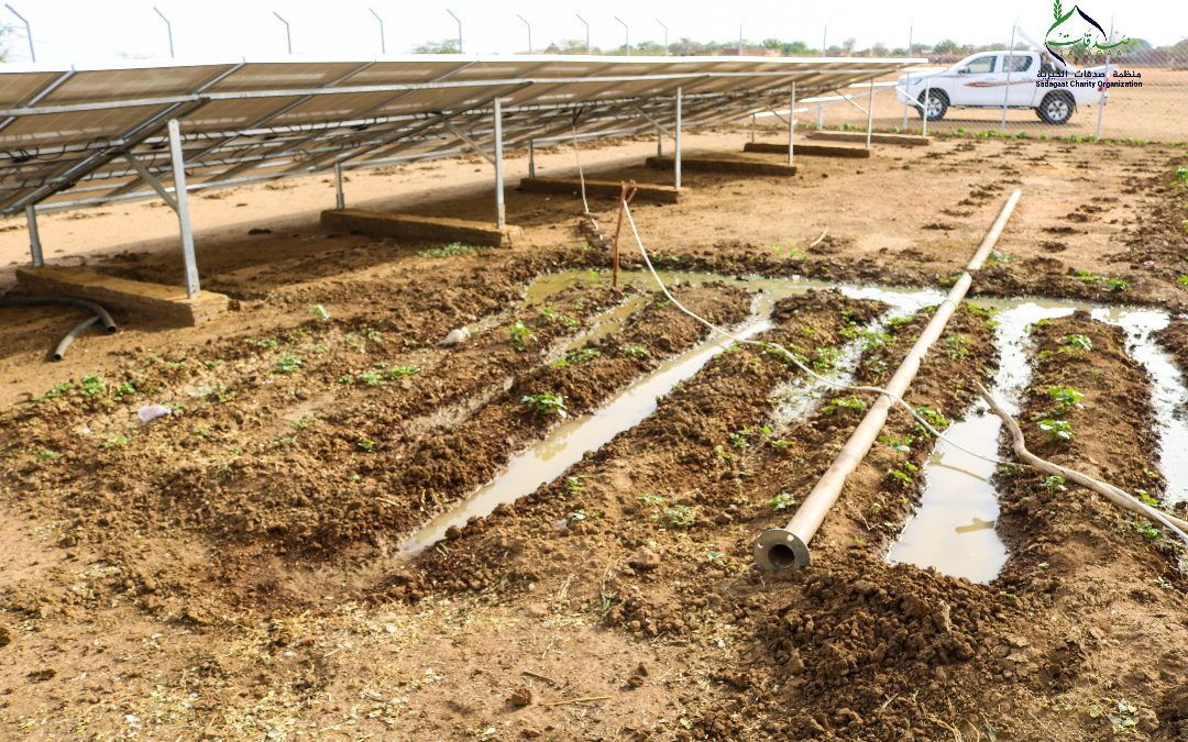 Tabaldiya Water Station 2021