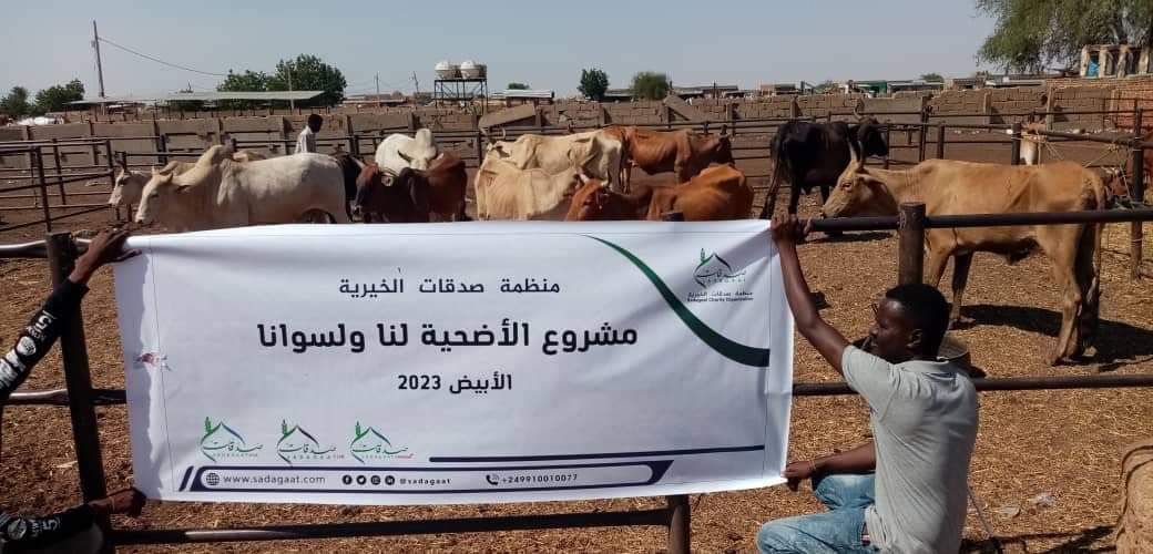 مشروع الأضحية لنا ولسوانا 2023