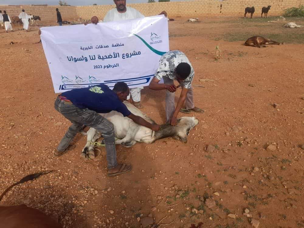 مشروع الأضحية لنا ولسوانا 2023