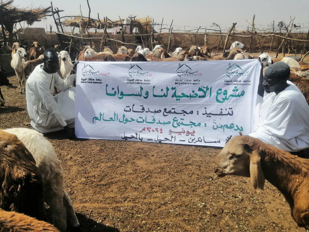 الأضحية لنا ولسوانا 2024م