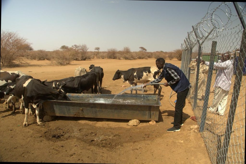 Alkaradab Water Station (1)