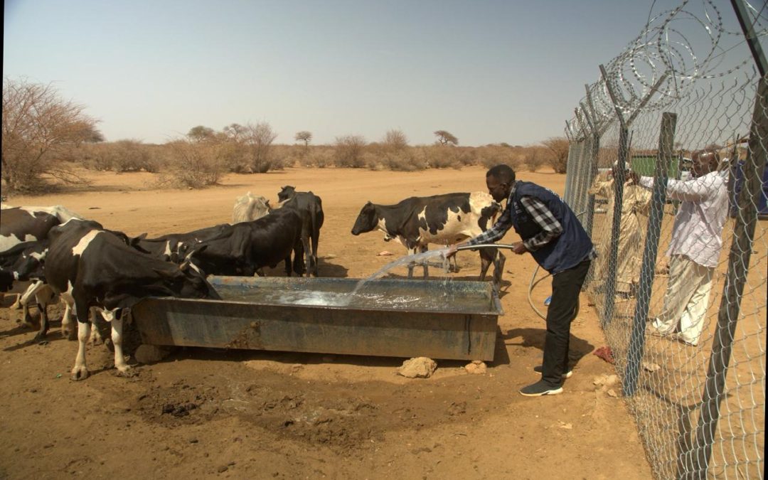 Sadagaat Inaugurates Al-Kardab Al-Wahda Water Station in East Nile Locality