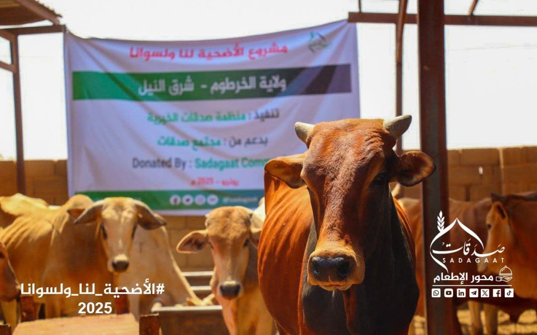 الأضحية لنا ولسوانا 2025م